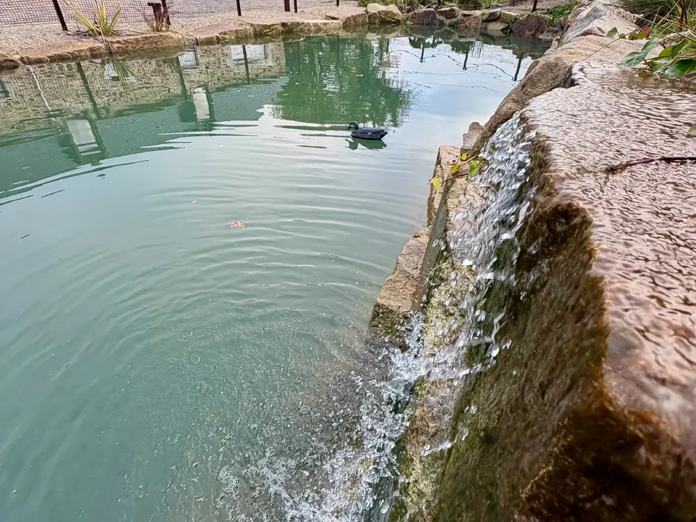 Aménagement de bassins