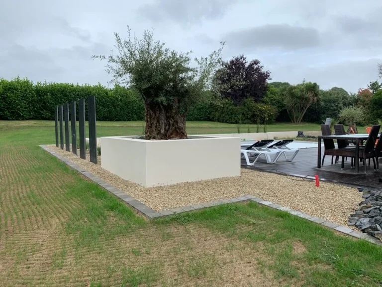 Aménagement d'une jardinière avec plantation d'un olivier à Saint-Brieuc