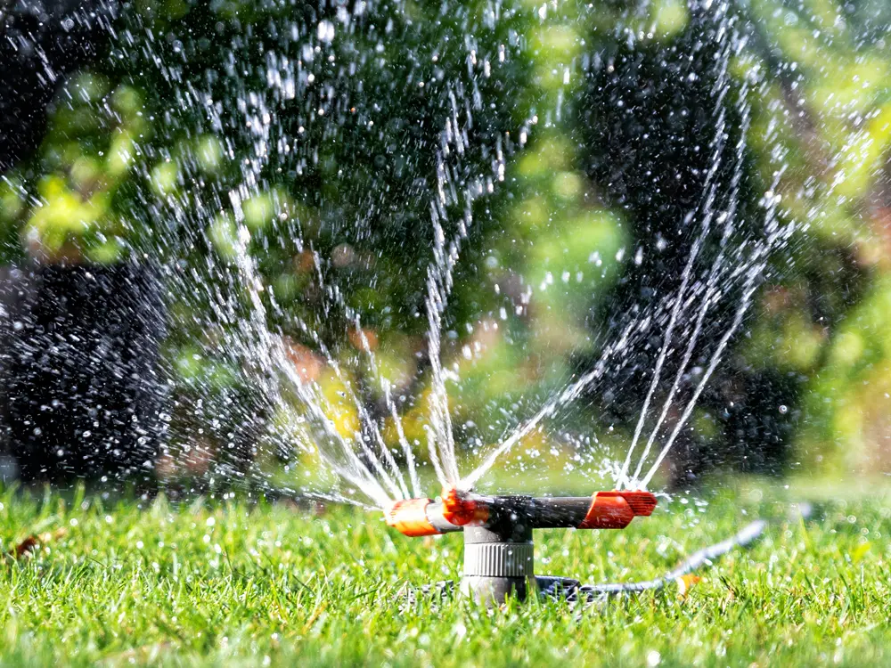 Système d'arrosage installé dans un jardin par notre équipe de paysagistes