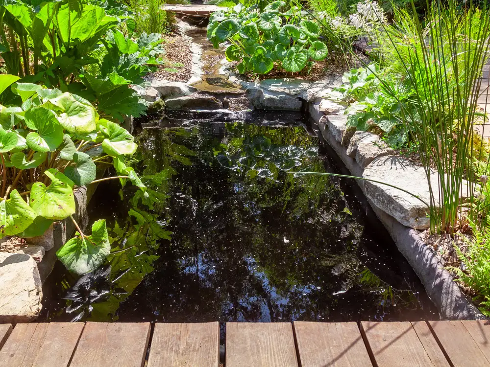 Bassin créé par notre entreprise paysagiste