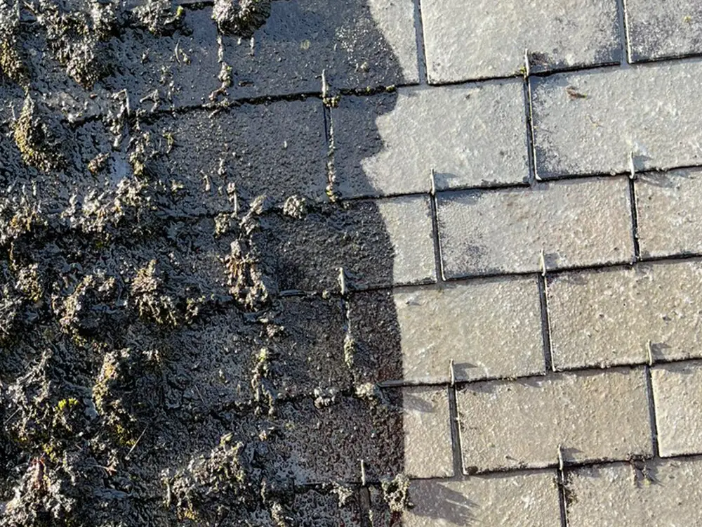 Démoussage d'une toiture dans le 22 par un paysagiste professionnel