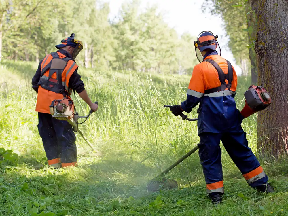 Désherbage d'un espace vert par notre équipe de paysagistes