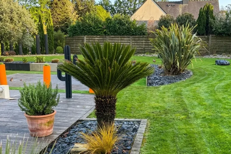 Entretien et restructuration d'un jardin contemporain à Pontivy en mars 2026 par Tardivel Paysage