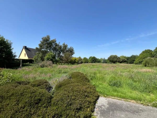 Prairie en friche avant entretien d'espace vert à Loudéac