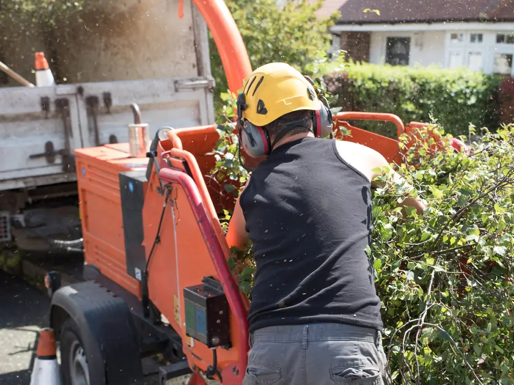 Paysagiste en train de broyer des déchets verts du jardin