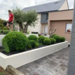 Réalisation d'une jardinière avec plantation d'un olivier centenaire à Lamballe