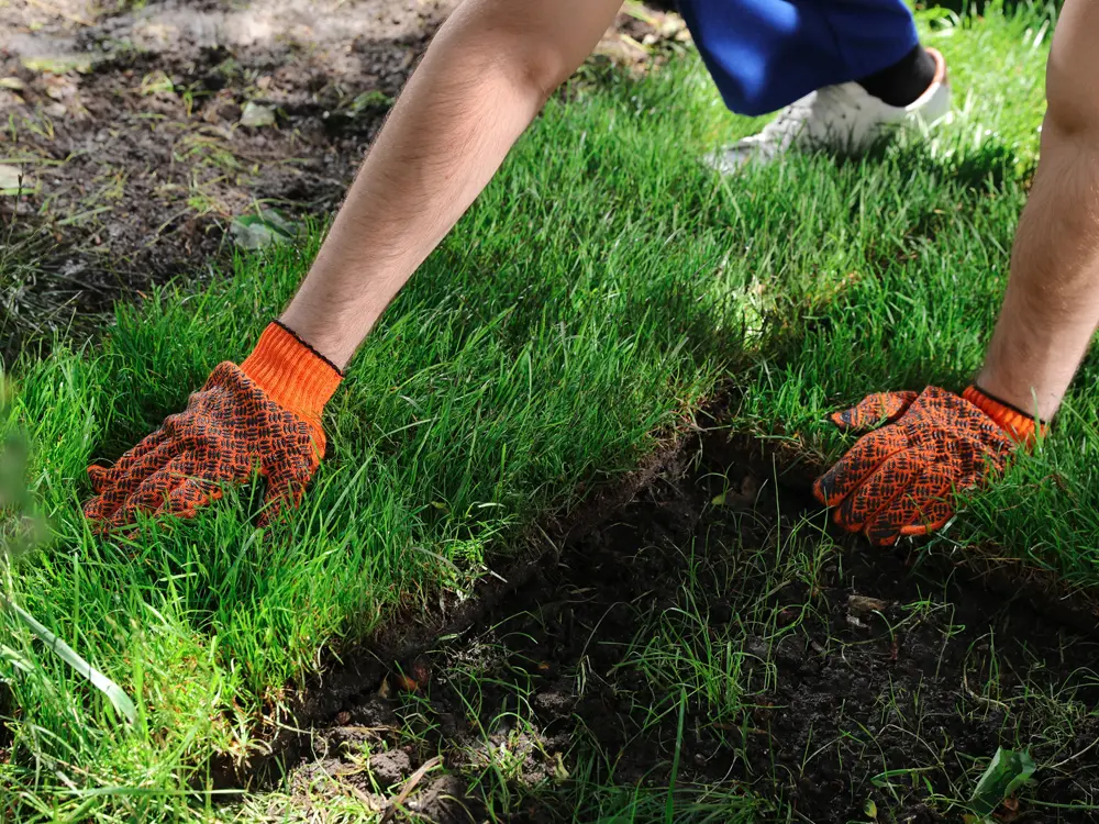 Pose d'une plaque de gazon par nos jardiniers paysagistes