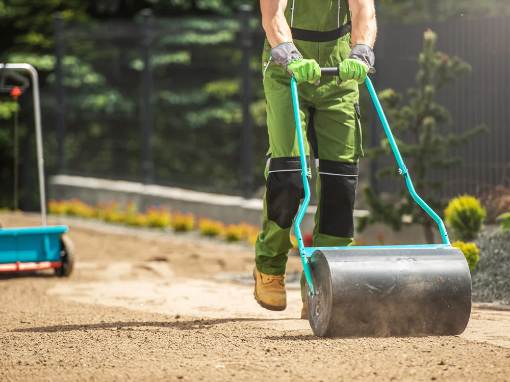 Service de semis de gazon