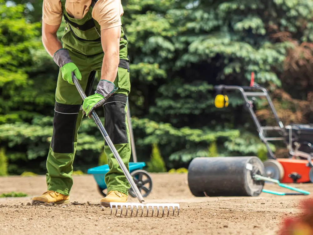 Semis de gazon par notre entreprise paysagiste