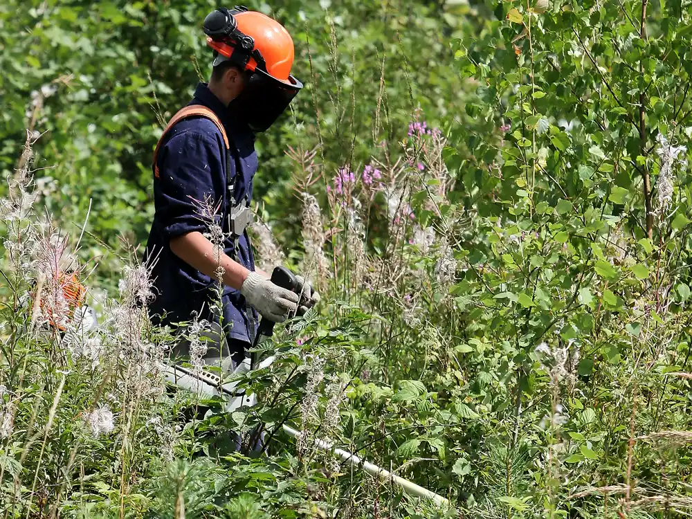 Service de débroussaillage d'espaces verts