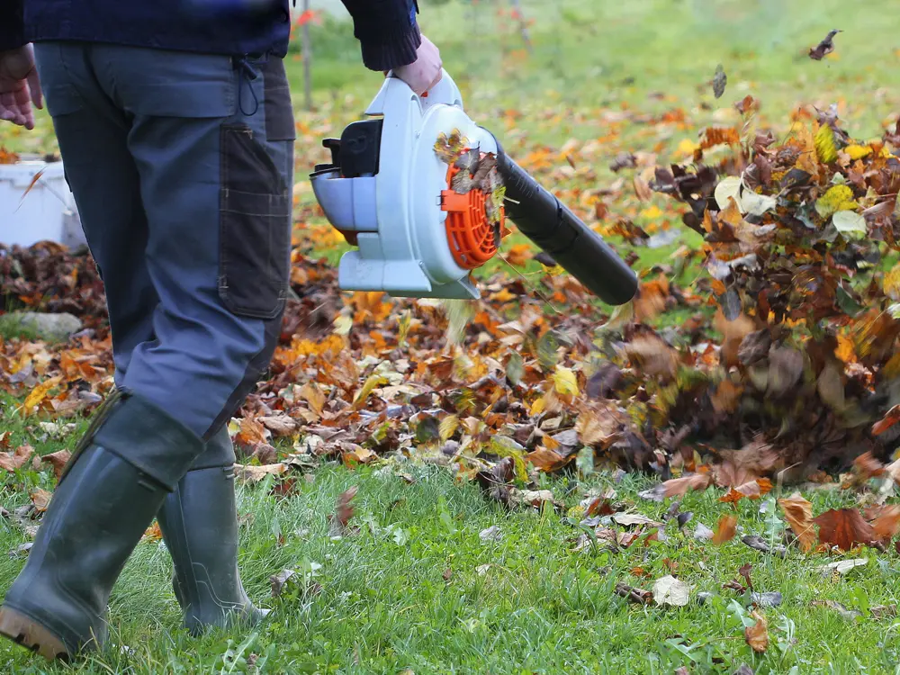 Ramassage de feuilles mortes à l'aide d'un souffleur de feuilles