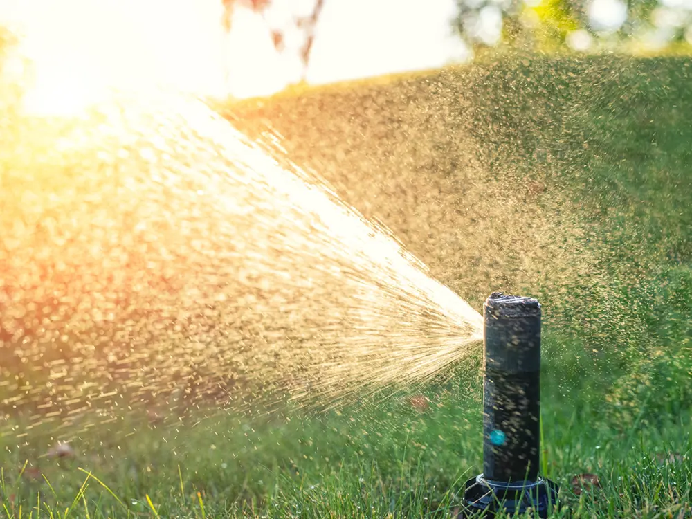 Système d'arrosage automatique installé dans un espace vert par notre entreprise paysagiste
