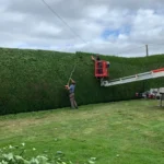 Opération de taille d'une grande haie à Plessala