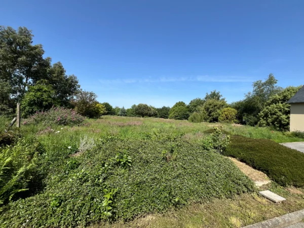 Jardin envahi par la végétation avant débroussaillage à Loudéac