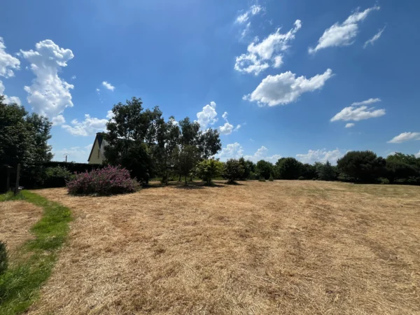 Terrain tondu après fauchage près d'une habitation à Loudéac