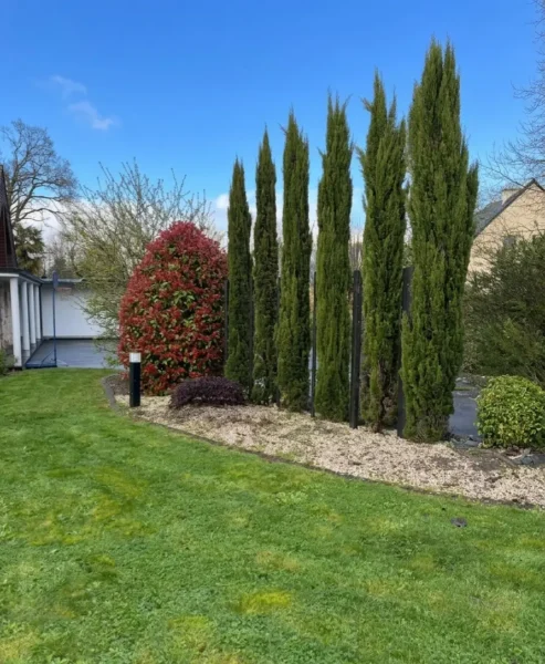 Pelouse fraîchement tondue dans un jardin au design épuré, valorisant les espaces minéraux et végétaux.