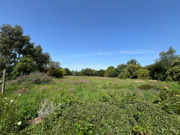 Prairie en herbe haute avant tonte par Tardivel Paysage à Loudéac