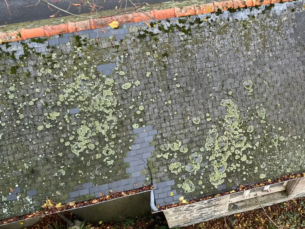 Traitement anti-mousse et hydrofuge sur toiture dans le 22